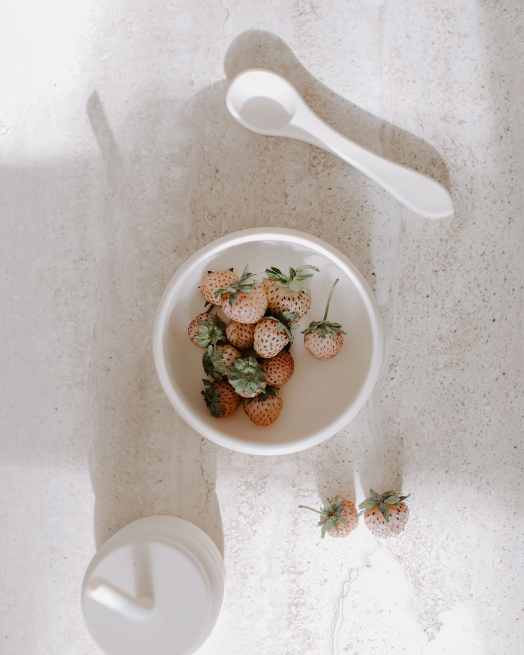 Bubble Set - Small (Oatmilk)
